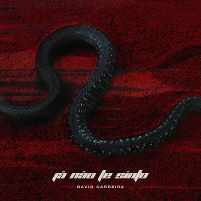 Já Não Te Sinto - Single - David Carreira