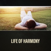 Life of Harmony – Anti Stress Therapy, Anxiety Cure, Panic Attacks Relief, Calming Down artwork