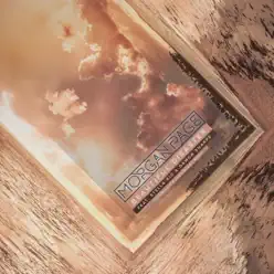 Beautiful Disaster (Futuristic Polar Bears Remix) [feat. Stella Rio & Damon Sharpe] - Single - Morgan Page