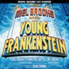 Young Frankenstein - The New Mel Brooks Musical