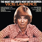 The Night the Lights Went Out In Georgia artwork
