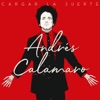 Andres Calamaro - Siete Vidas