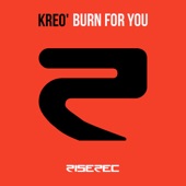 Burn for You (U.F.O. Extended Remix) artwork