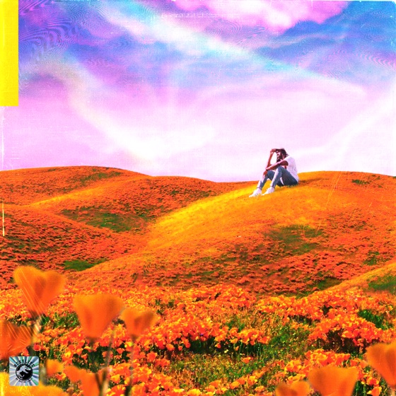 Cover artwork for Yayo