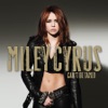 Miley Cyrus - Who Owns My Heart