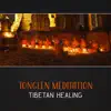 Stream & download Meditation for Pain Relief