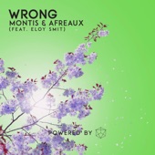 Wrong (feat. Eloy Smit) artwork