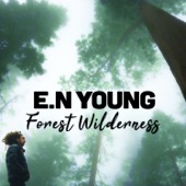 Forest Wilderness artwork