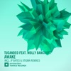 Awake (feat. Molly Bancroft) [The Remixes] - EP, 2014