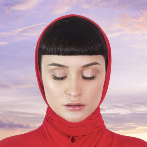 Cover artwork for Dans
