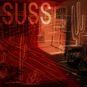 SUSS - Steam