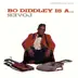 Bo Diddley Is a Lover album cover