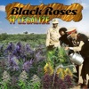 Black Roses It Legalize