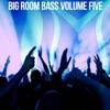 Big Room Bass, Vol. 5
