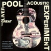 The Great Liverpool Acoustic Experiment, 2007