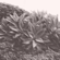 Hot Dreams (Absolutely Free Dub Mix) - Timber Timbre