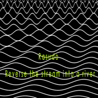 Rasudo - Reverse the Stream Into a River artwork