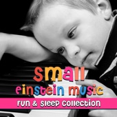 Small Einstein Music: Fun & Sleep Collection, Sleep Baby Piano Lullabies, Cognitive Development artwork