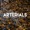 Arterials - King Of Lies