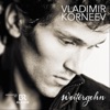Vladimir Korneev - Mne Nravitsya