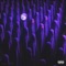 Dlouha Freestyle - Dr. Ramay lyrics