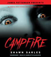 Shawn Sarles - Campfire artwork