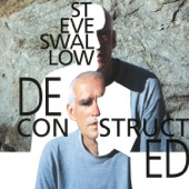 Steve Swallow - Viscous Consistency