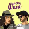 What You Want (feat. Felly) - Single album lyrics, reviews, download