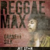 Reggae Max, 1996