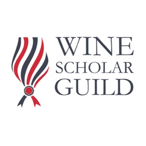 Julien Camus on Wine Scholar Guild: behind the scenes