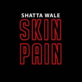 Skin Pain artwork