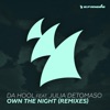 Own the Night (feat. Julia DeTomaso) [Remixes] - Single, 2018