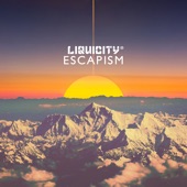 Escapism (Liquicity Presents) artwork