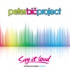 Peter Bic Project - Break a Law