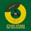 Yekereme Fikir (feat. Mulatu Astatke) - Single album lyrics, reviews, download