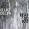 Beat So Fat - Ellis Delta lyrics
