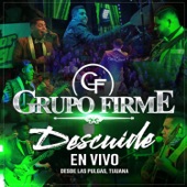 Descuide (En Vivo) artwork