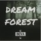 Dream Forest artwork