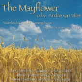 The Mayflower artwork