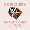 Turn Me on (Remix) [feat. Mumzy Stranger & Raxstar] song lyrics