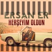 Herşeyim Oldun artwork