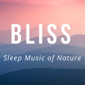 Bliss: Sleep Music of Nature, Deep Sleep REM Inducing, Music for Dreaming Time for Trouble Sleeping artwork