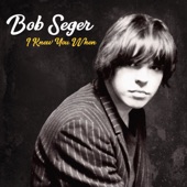 Bob Seger - Runaway Train