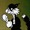 05 Rinse and Repeat -