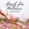 Musik für Wellness, Massage & Spa, Entspannung für Länger, Besten Erinnerungen