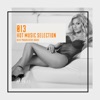 Hot Music Selection, Vol. 13