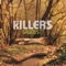 Where the White Boys Dance - The Killers lyrics