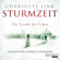 Charlotte Link - Die Stunde der Erben: Sturmzeit-Trilogie 3