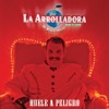 La Arrolladora Banda el Limón de Rene Camacho - Huele a Peligro