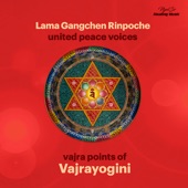 Vajra Points of Vajrayogini artwork